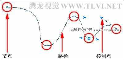 在CorelDRAW中的对象概述与选择对象技巧图解