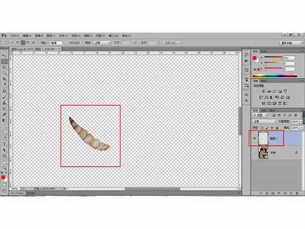 如何利用PS工具快速为照片中的人物美白牙齿?