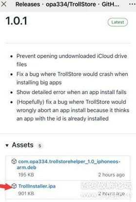 iOS15.1 TrollStore 已发布,永久不掉签