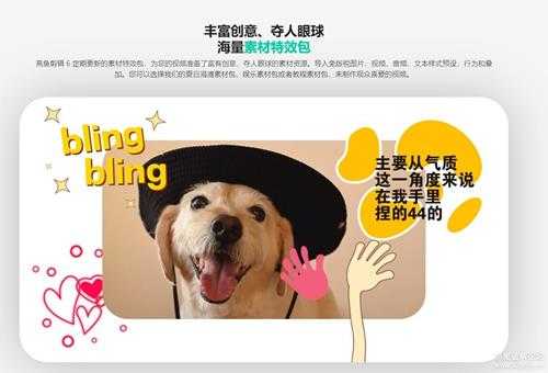 ACDSee 亮鱼剪辑 6 一款优秀且适合普通人的视频剪辑+录屏软件